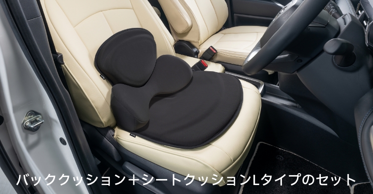 バッククッション＋シートクッションLタイプのセット