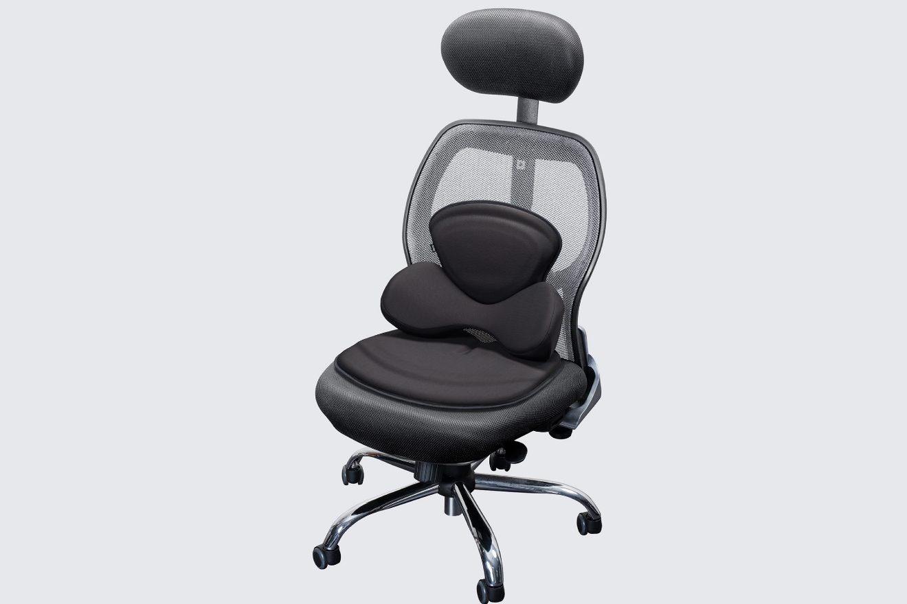 バッククッション&plus;シートクッションLタイプのセット