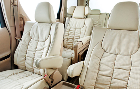 Alcantara